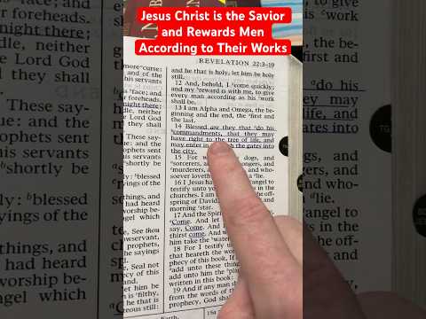 Holy Bible and