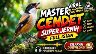 Download lagu 🔥 RAMAI YANG MINTA MASTERAN CENDET INI! SUARA JERNIH, SIAP DOWNLOAD!