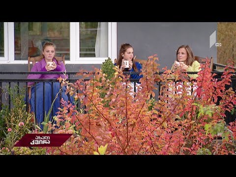 #ახალიკვირა ლოს ანჯელესიდან მარტვილამდე