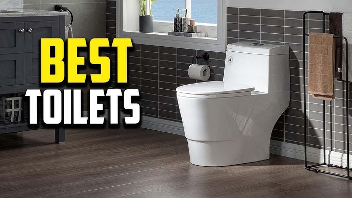 The 11 Best Toilet Bowl Cleaners of 2024