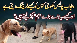 Punjab Police Sniffer Dogs Ko Kaise Training Deti Ha Aur Kaise Ye Bare Bare Bomb Pakar Lete Hai?