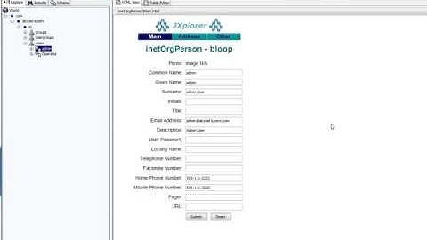 Jxplorer to connect to LDAP