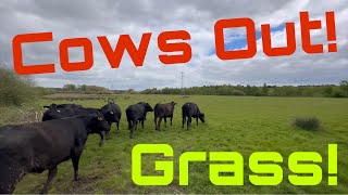 Who’s Tractor has a Breakdown in Our Yard?? Cows Out to Grass! by Joe Seels 7,544 views 2 weeks ago 20 minutes