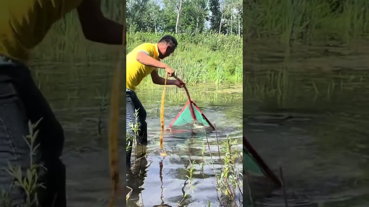 Fishing In Mohe The Northeast Joy Of Outdoor Wild Experiencex 436