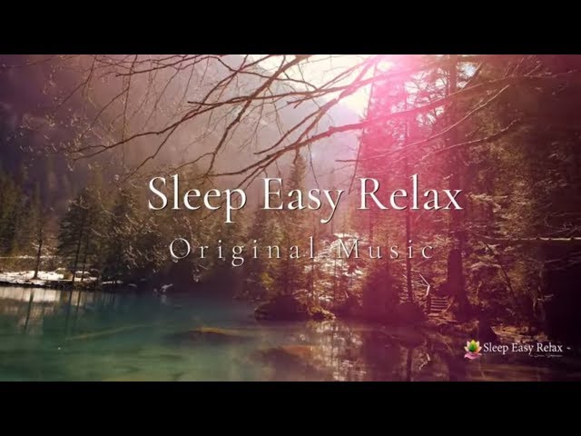 Instant Calm, Beautiful Relaxing Sleep Music, Dream Music (Nature Energy Healing, Quiet Ocean) ★11 class=