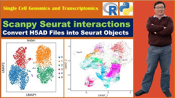 Scanpy Seurat Video Tutorials: Convert H5AD Files into Seurat Objects