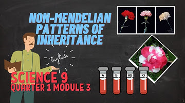 NON-MENDELIAN PATTERNS OF INHERITANCE│SCIENCE 9 Q1 M3│Sir Sly TV
