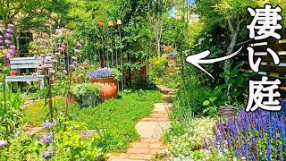 【ガーデンツアー】この入口の先に素晴らしい景色のお庭が待っていたGarden tour of wonderful gardens