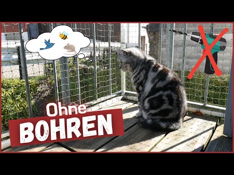 Balkon katzensicher machen - ohne Bohren! | Sehr stabil!