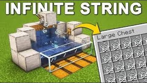 Infinite String Farm in Minecraft 1.20 & 1.21! (Duplication Glitch!) | Minecraft Tutorial