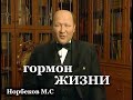 Гормон ЖИЗНИ и фундамент творчества. М.С. Норбеков