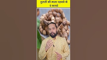 तुलसी माला पहनने के 5 फायदे 💰 Tulsi Mala Benefits #shorts #tulsi #astrology