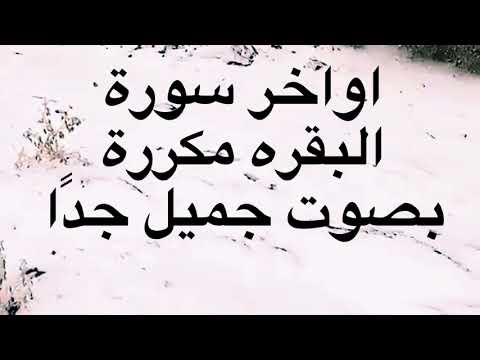 خواتيم سورة البقرة مكررة  مرة