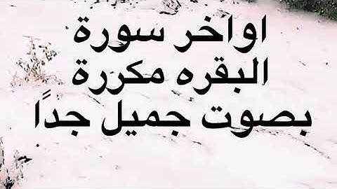 خواتيم سورة البقرة مكررة 100 مرة
