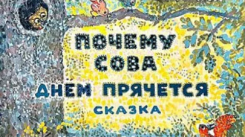 Почему сова днем прячется