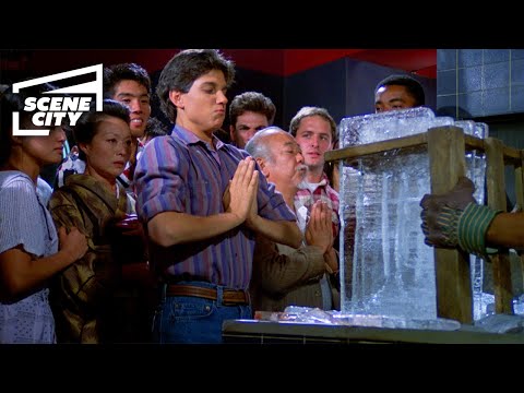 The Karate Kid Part 2: Breaking The Ice (Ralph Macchio Scene)