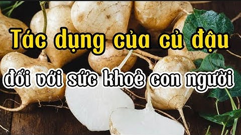 Tác dụng của CỦ ĐẬU đối với sức khoẻ con người.│ Sức khoẻ và Cuộc sống │