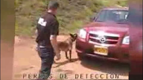 Deteccion de explosivos