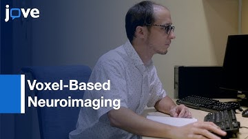 Voxel-Based Neuroimaging Studies by SDM-PSI | Protocol Preview
