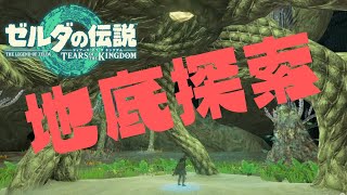 【ゼルダの伝説　ティアーズオブザキングダム】地底探索しにいく