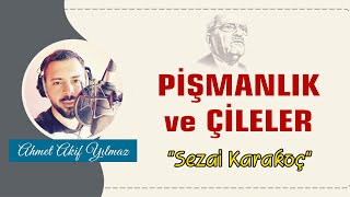 Pişmanlık ve Çileler | Sezai Karakoç / Şiir Resimi