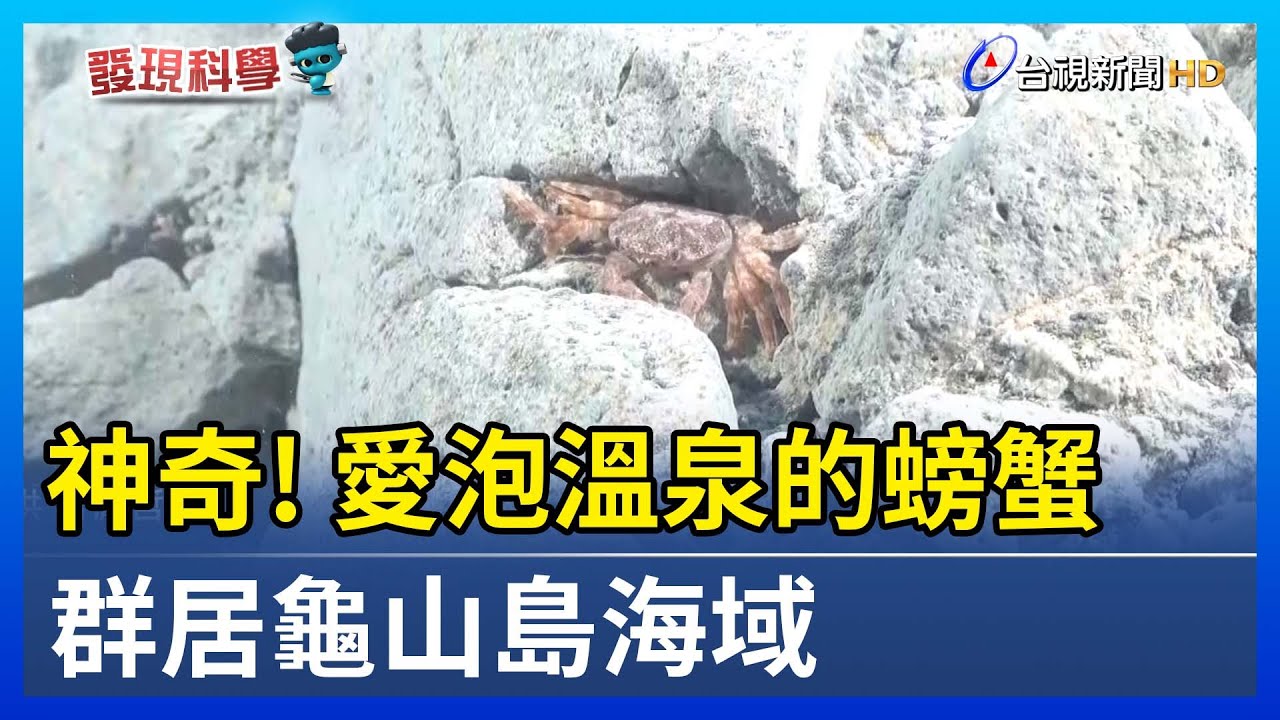 宜蘭龜山島牛奶湖海底溫泉船潛