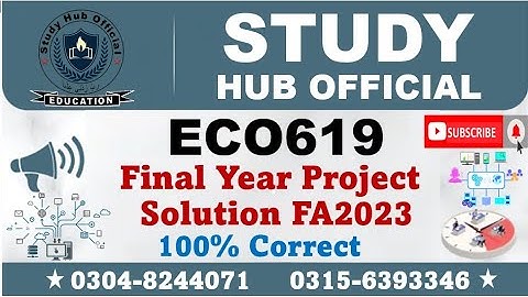 ECO619 Final Year Project FA2023, ECO619