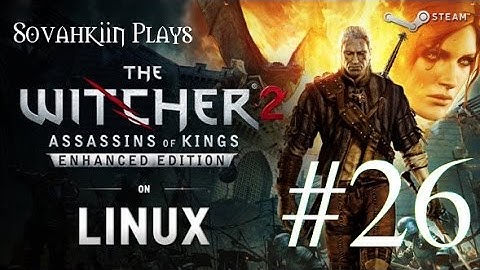 Sovahkiin Plays on Linux: Witcher 2 - Episode 26