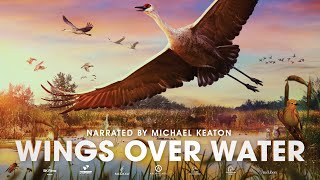 Wings Over Water OFFICIAL TRAILER