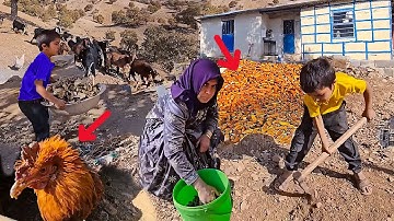 A special program for planting oaks in the mountains