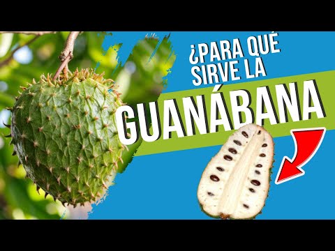 🌿 BENEFICIOS y