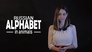 Russian alphabet in animals