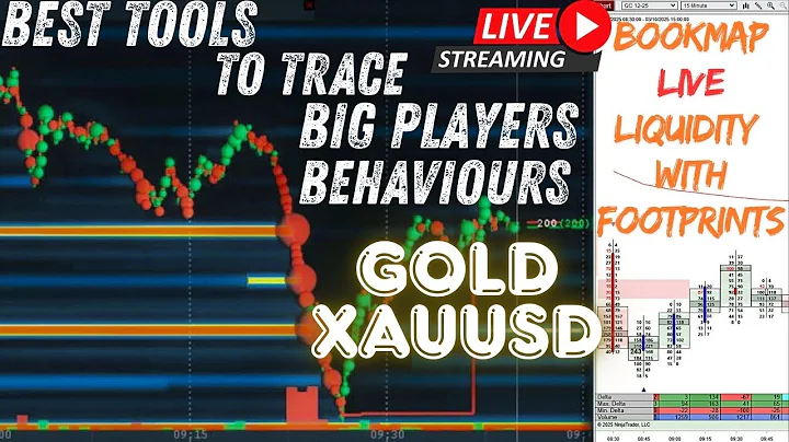 Bookmap Live Gold | XAUUSD GC Futures | Live Liquidity & Footprints