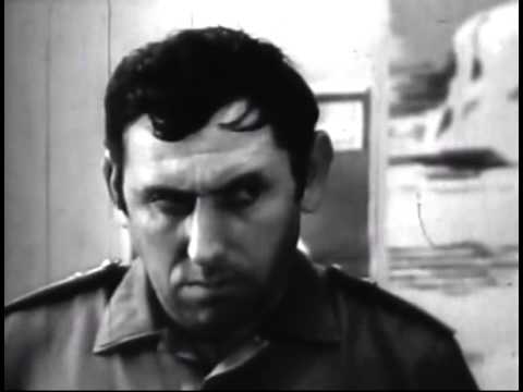 რეკორდი - ამხანაგო სორდია