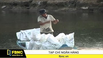 FBNC - Cho vay phát triển nông nghiệp: Cần có cơ chế bảo hiểm