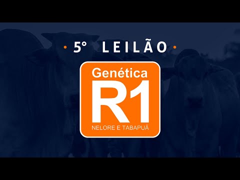 LOTE 50