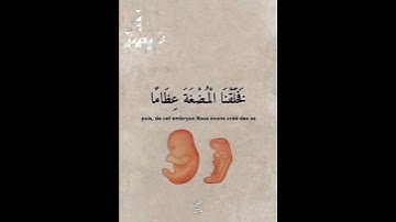 وَلَقَدْ خَلَقْنَا الْإِنسَانَ مِن سُلَالَةٍ مِّن طِينٍ#quran #تلاوة_خاشعة #القرآن_الكريم #islam