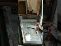 30代独身女が中古住宅買ってしまったせいで、始まった悲劇 #diy #中古住宅 #renovation #diy女子