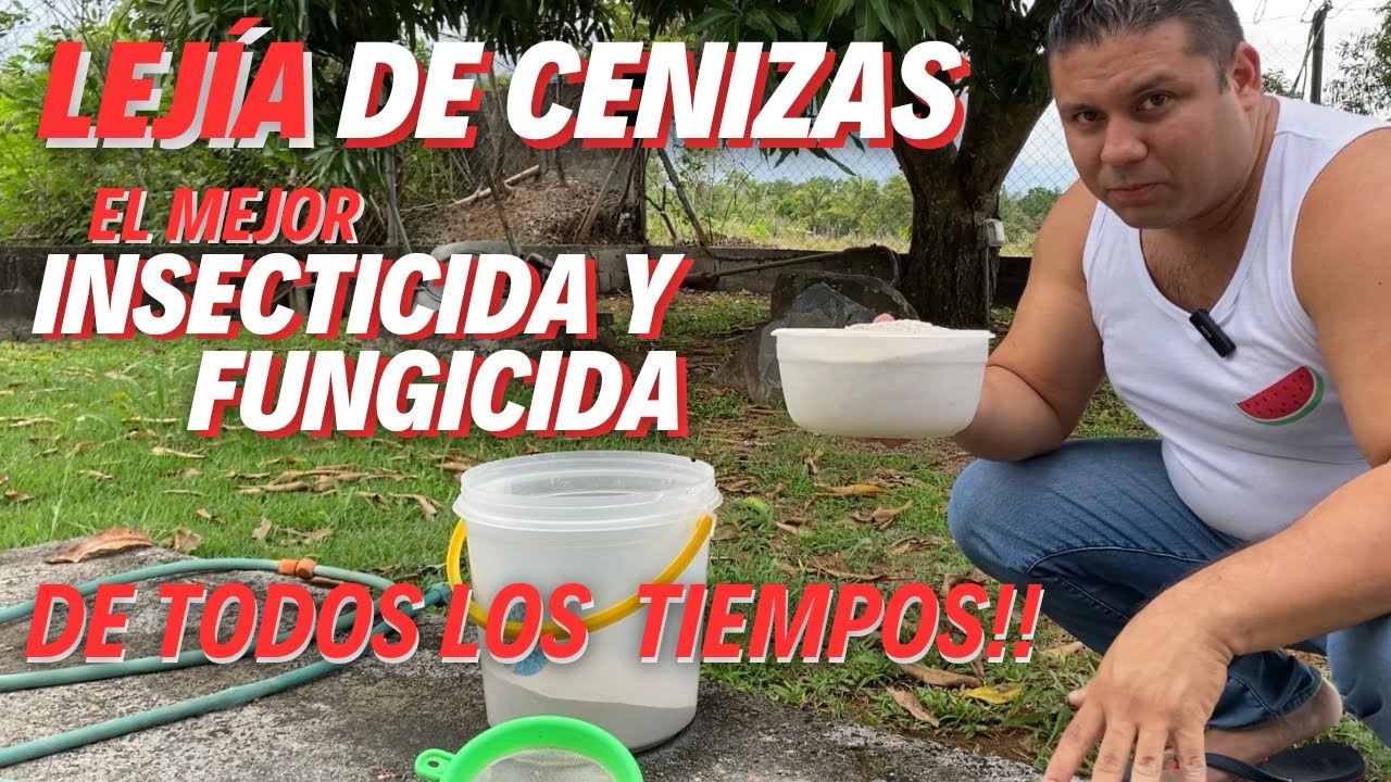 COMO PREPARAR LEJÍA DE CENIZAS !!!! - YouTube