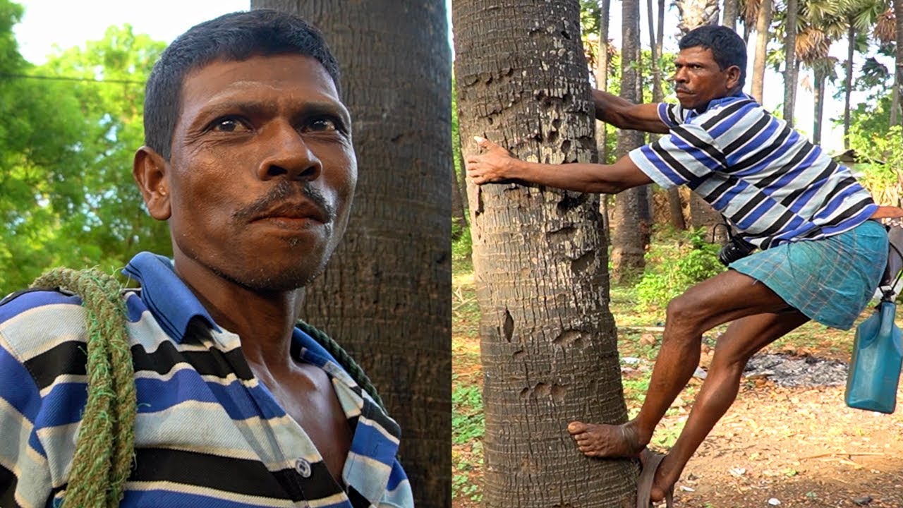 DANGEROUS SRI LANKAN FOOD!! Toddy Tapper RISKS LIFE for Drink + Street Food in Sri Lanka! | Luke Martin