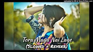 TOLA MAYA NAI LAGE (Slowed   Reverb) CG Love Lo-Fi Song
