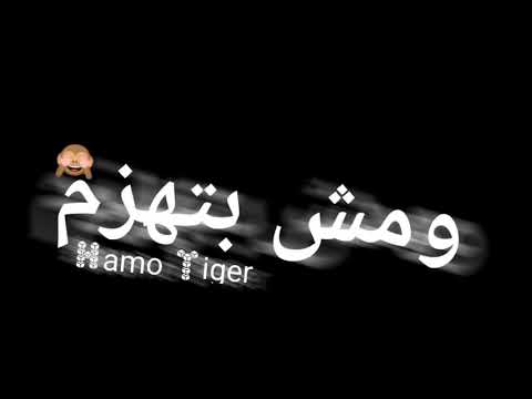 حالات واتس مودي امين انا حمله ومش بتهزم