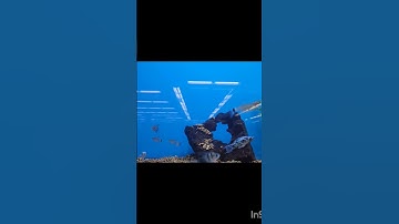 ماشاء الله تلاوة رائعة