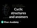 Carbohydrates - Cyclic structures and anomers | Chemical processes | MCAT | Khan Academy