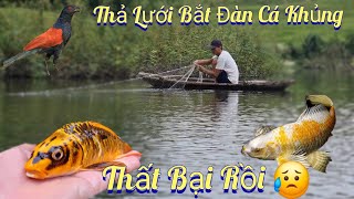 Thả Lưới Bắt Đàn Cá Khủng Và Rửa Lại Bể Cá Koi Trong Avi /Nhân Tạ Mốt by Nhân Tạ Mốt 23,029 views 2 weeks ago 16 minutes