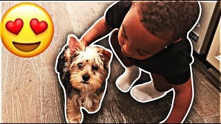 SURPRISING DJ WITH A NEW PUPPY | THE PRINCE FAMILY