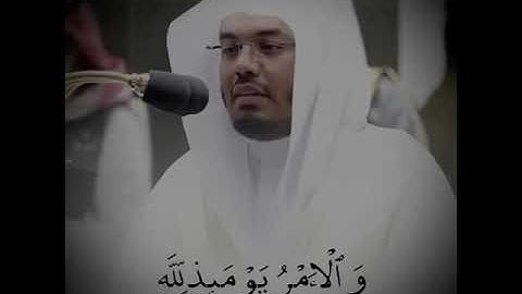 إن الأبرار لفي نعيم   تلاوة خاشعة للشيخ ياسر الدوسري من الحرم المكي   تلاوات قصيرة480P 1
