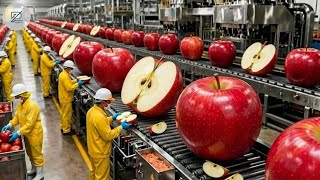 Dentro de una Fábrica de Jugo de Manzana Así se Cosecha y Produce Paso a Paso