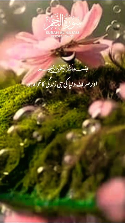 surah-al-najjam-verse-23-31-religion-transletionquran