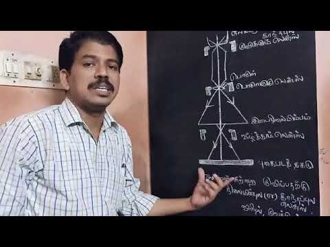 எலக்ட்ரான்  நுண்ணோக்கி 12 Physics